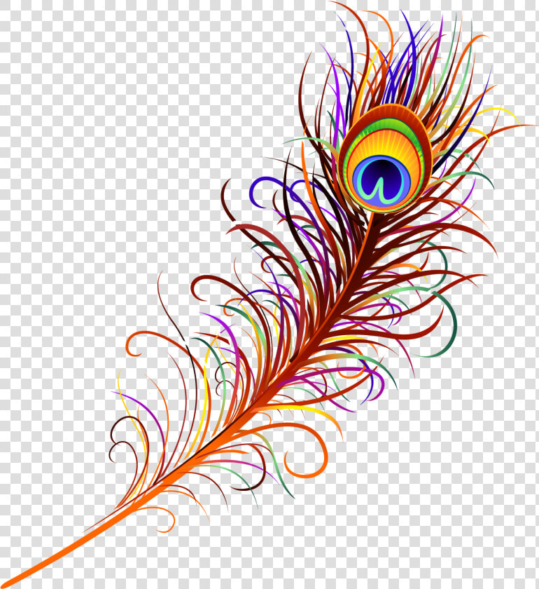 Peacock Feather Free Png Image   Peacock Feather Png Vector  Transparent PngTransparent PNG