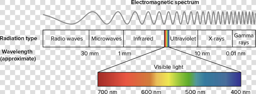 Wavelengths Of Light  HD Png DownloadTransparent PNG