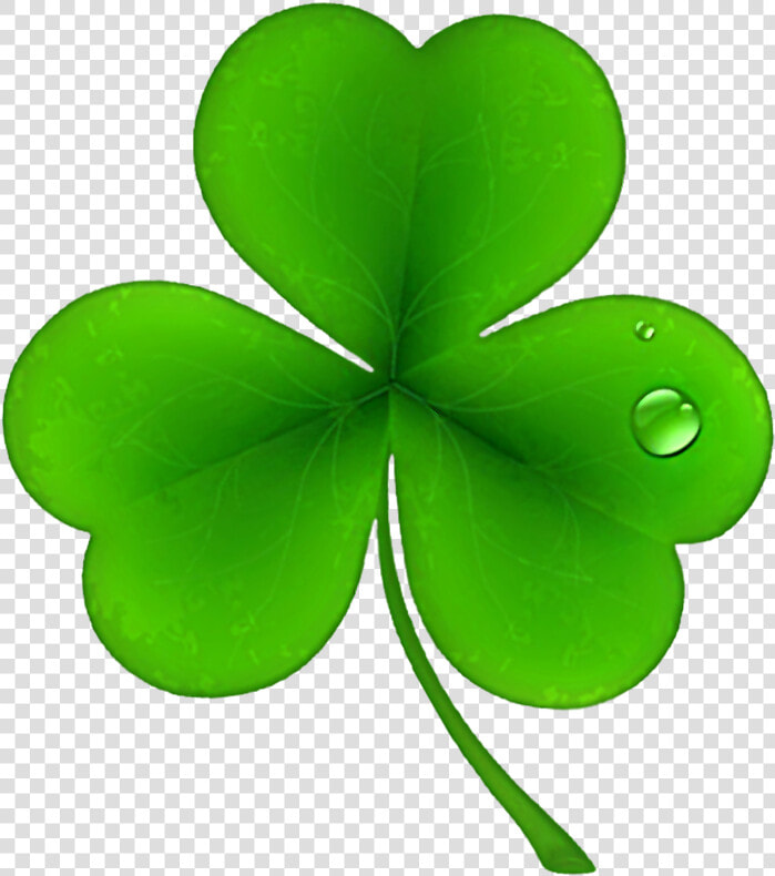 Clover Flower Free Png Transparent Images Free Download   St Patricks Shamrock Clover  Png DownloadTransparent PNG