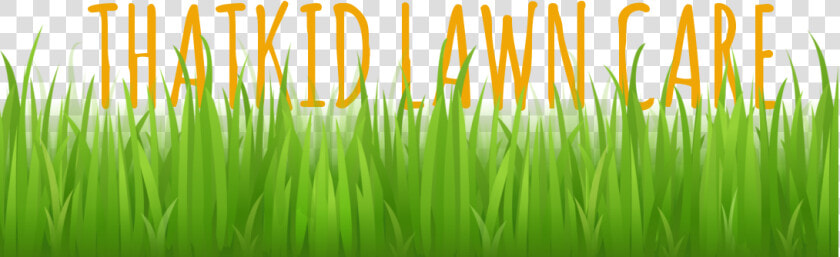 Lawn Mowing   Trimming   Watering   Edging   Thatching   Grass Vector Free  HD Png DownloadTransparent PNG