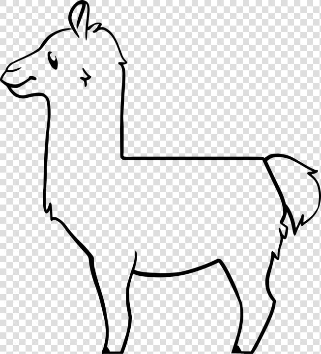 Llama  Mammal  Animal  Alpaca  Lama  Fur  Desert  Cute  HD Png DownloadTransparent PNG