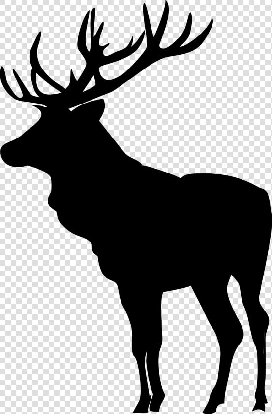 Moose Profile Silhouette At   Moose Clipart  HD Png DownloadTransparent PNG