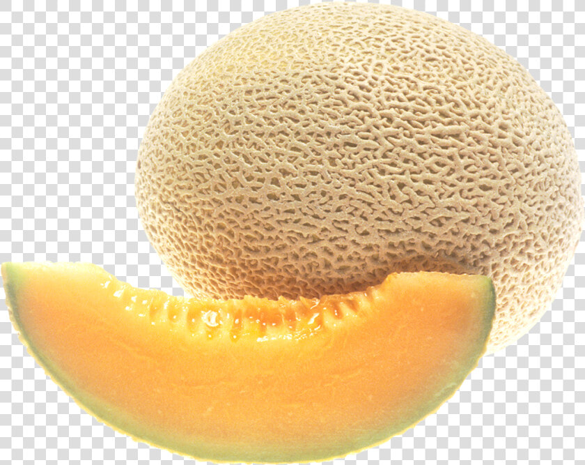 Cantaloupe Png Image   Cantaloupe Png  Transparent PngTransparent PNG