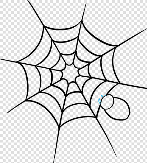 How To Draw How To Draw A Spider Web With Spider In   Colouring Pages Of Web  HD Png DownloadTransparent PNG