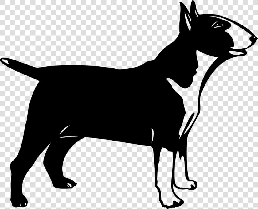 Bull Terrier Boston Terrier West Highland White Terrier   Bull Terrier Cartoon  HD Png DownloadTransparent PNG