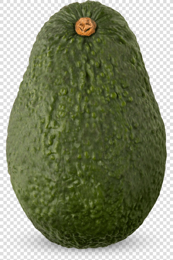 Avocado High Definition Png  Transparent PngTransparent PNG