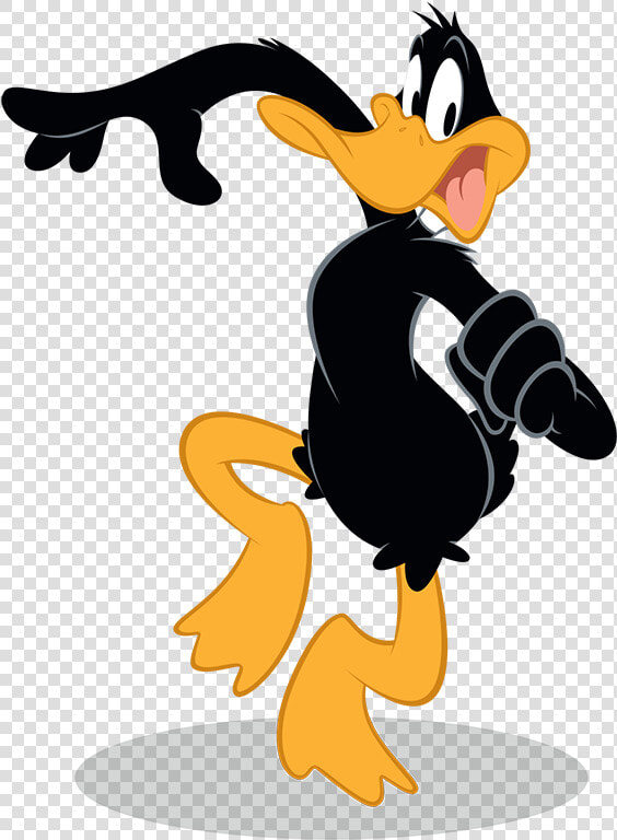 Daffy Duck Png Pluspng   Duffy Duck Png  Transparent PngTransparent PNG