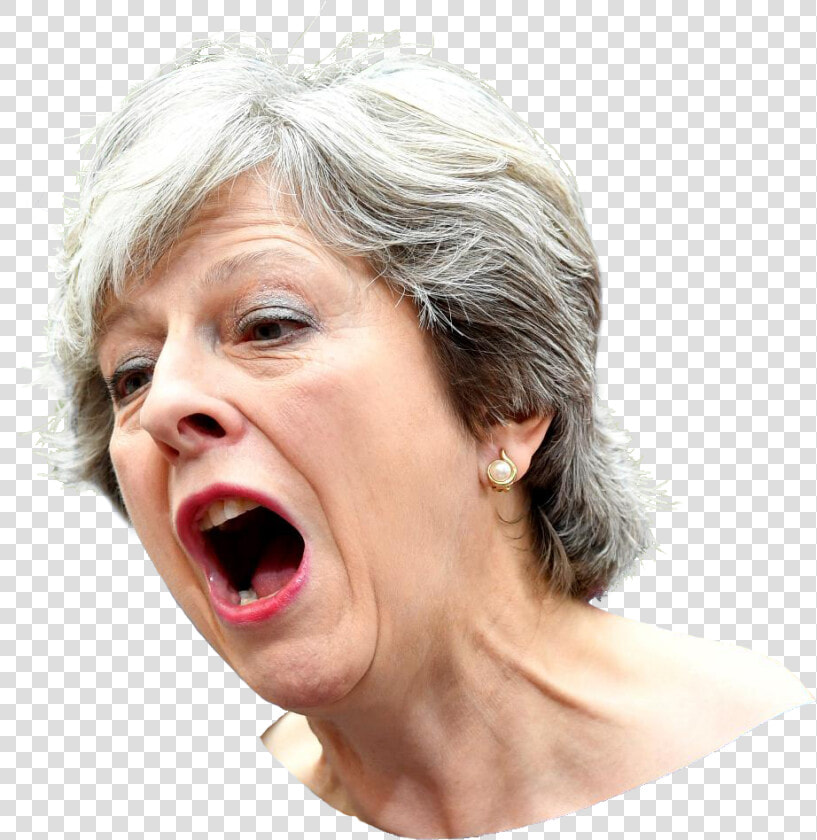 Theresa May Png  Transparent PngTransparent PNG