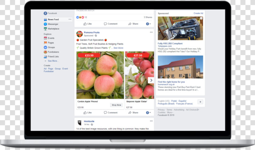 Example In Feed Desktop Ad Facebook  HD Png DownloadTransparent PNG