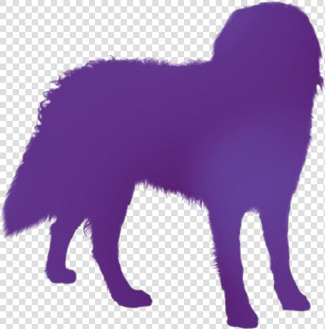 Bernese Mountain Dog Png Transparent Images  Png DownloadTransparent PNG