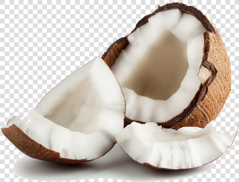 Transparent Coconut Png Images   Hindistan Cevizi Meyvesi Tarifi  Png DownloadTransparent PNG