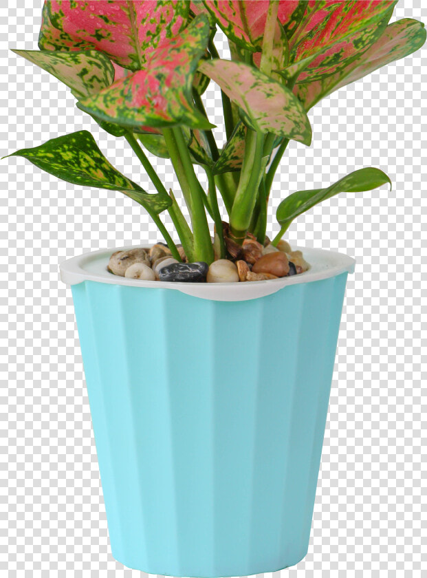 Cheap Fiber Clay Cement Vertical Garden Large Flower   Flowerpot  HD Png DownloadTransparent PNG