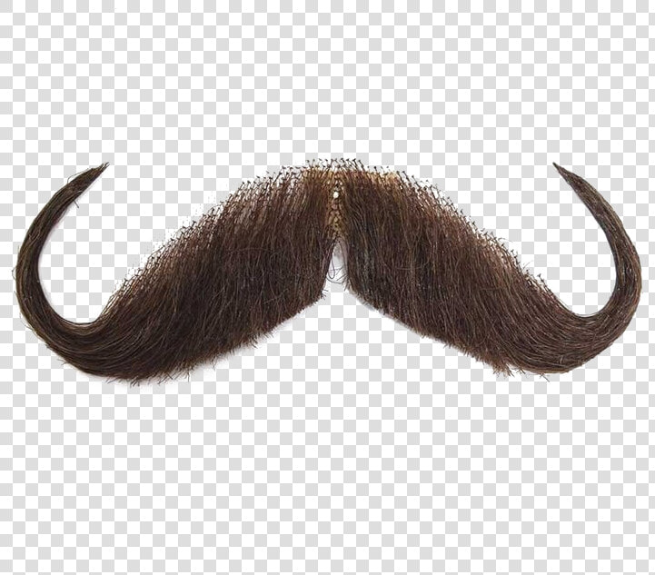 Moustache Png Image Background   Mustache Png Transparent Background  Png DownloadTransparent PNG