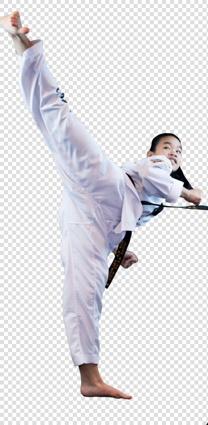 Tae Kwon Do Png  Transparent PngTransparent PNG