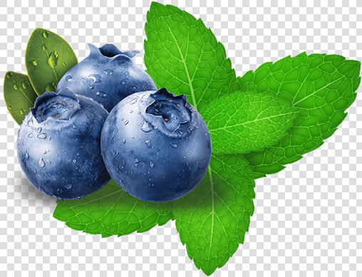 Hookafina Blueberry Mint   Blueberry Gif Transparent Background  HD Png DownloadTransparent PNG