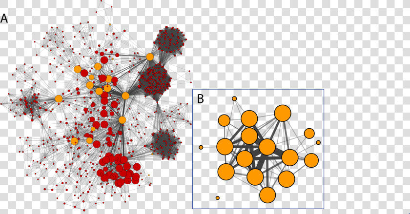 Cytoscape Network Analysis  HD Png DownloadTransparent PNG