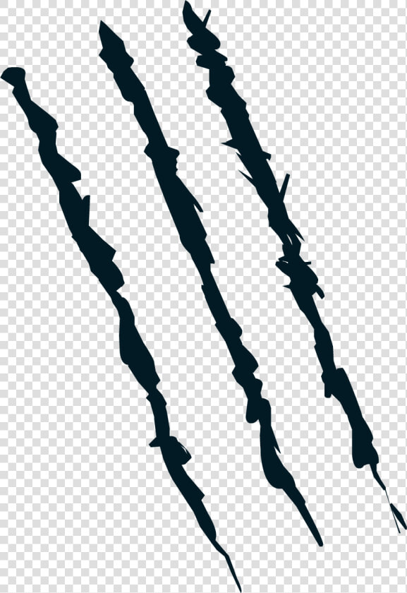 Transparent Claw Marks Png   Claw Marks  Png DownloadTransparent PNG