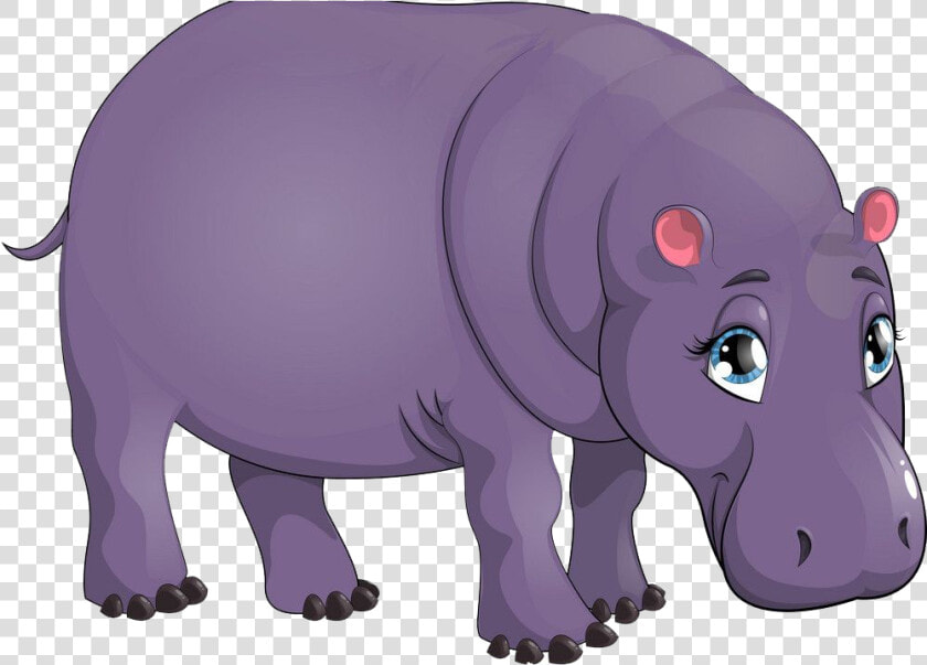 Hippopotamus Png Image File   Beautiful Hippopotamus  Transparent PngTransparent PNG