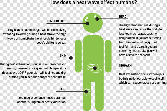 How Does A Heat Wave Affect Humans Natural Disaster  HD Png DownloadTransparent PNG