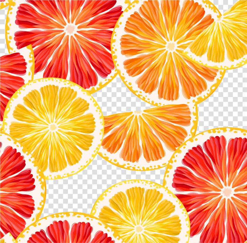 Grapefruit  Lemon Clipart  Orange  Lemon Slice  Vector   Grapefruit Background  HD Png DownloadTransparent PNG