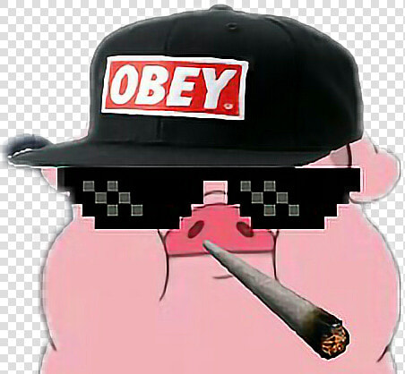  mlg  obey  mem   Meme Sunglasses  HD Png DownloadTransparent PNG