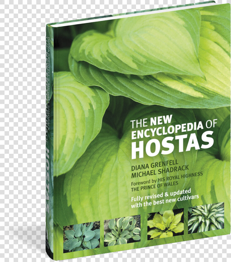 Transparent Hosta Png   The New Encyclopedia Of Hostas  Png DownloadTransparent PNG