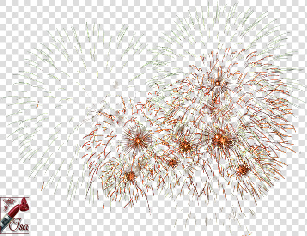 Tube Png Feux D Artifice  Transparent PngTransparent PNG