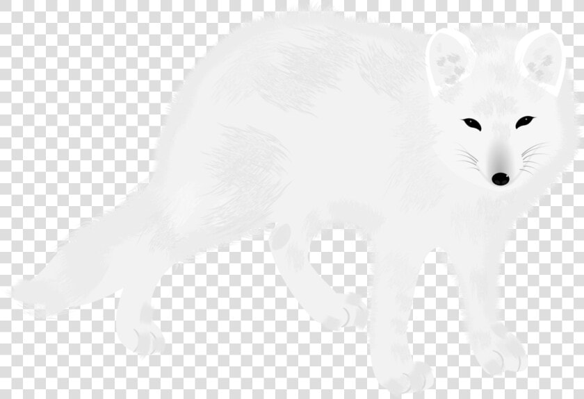 Arctic Fox carnivore fur   Arctic Fox  HD Png DownloadTransparent PNG