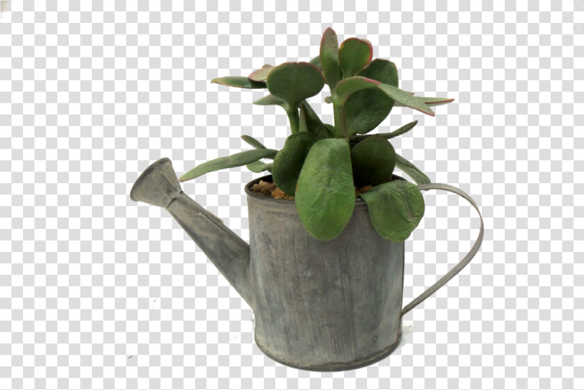 Flowerpot  HD Png DownloadTransparent PNG