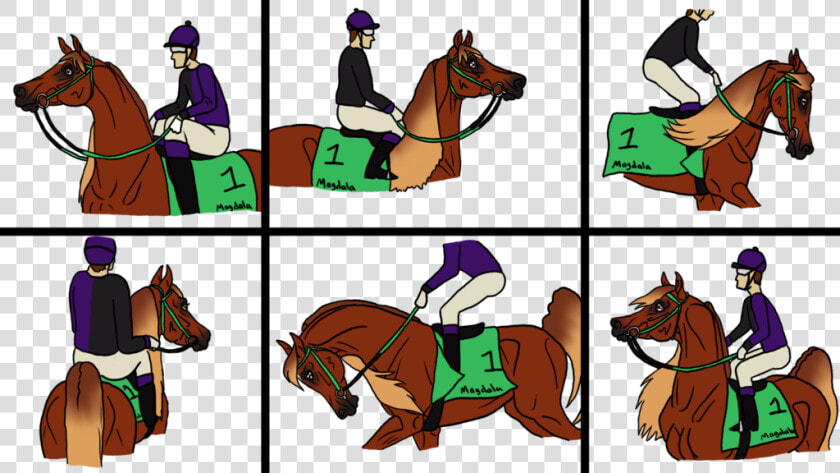 Magdala Races By Angry Horse For Life  HD Png DownloadTransparent PNG