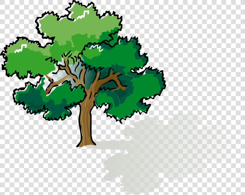 Oak Clipart Leafy Tree   Narra Tree Clip Art  HD Png DownloadTransparent PNG