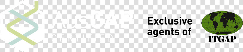 Ausgap Certified   Beige  HD Png DownloadTransparent PNG