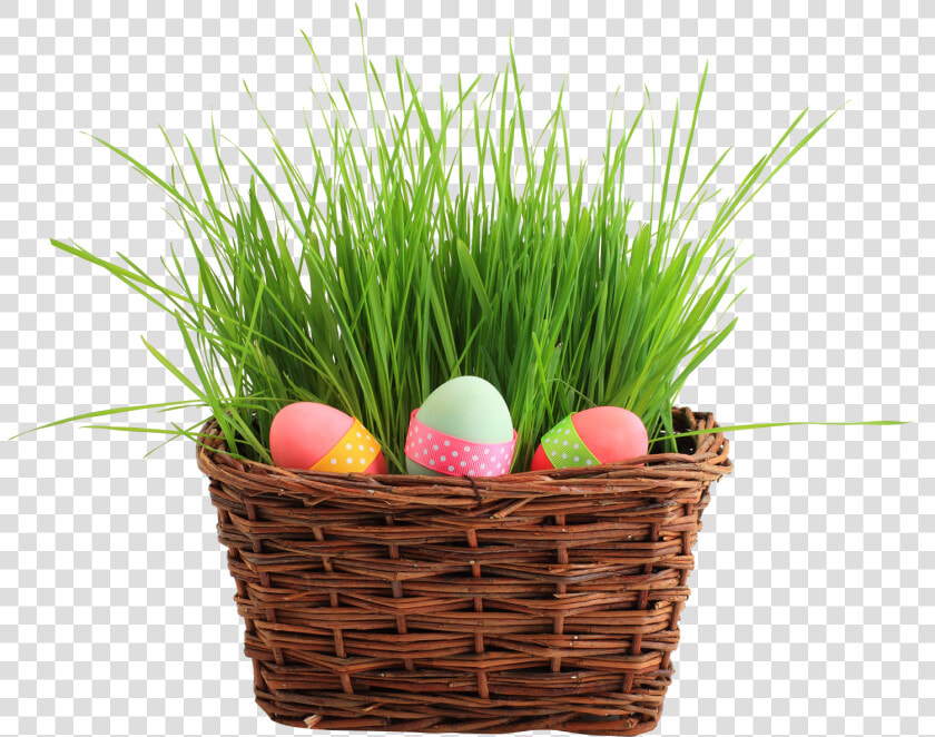 Easter Basket Png Transparent Picture   Easter Basket Png  Png DownloadTransparent PNG