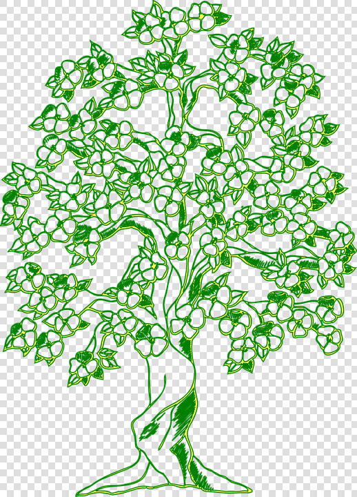 Tree  Forest  Green  Ecology  Eco  Environment   Tree Pictures Drawing Family  HD Png DownloadTransparent PNG