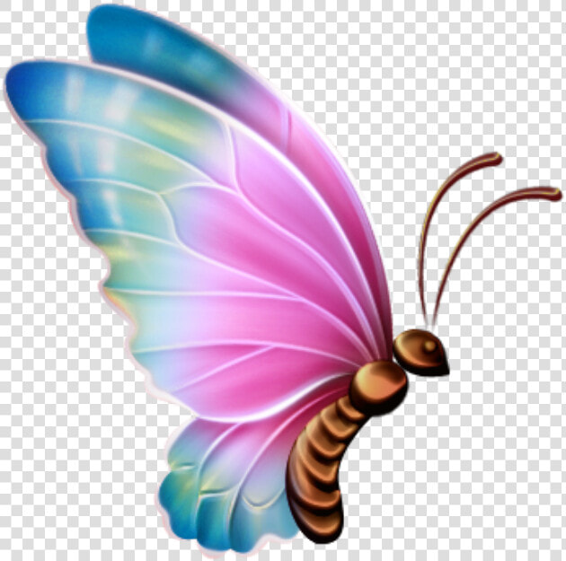 Transparent Borboleta Png   Butterfly Clipart Transparent Background  Png DownloadTransparent PNG