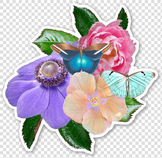 Flower Montage Sticker  HD Png DownloadTransparent PNG