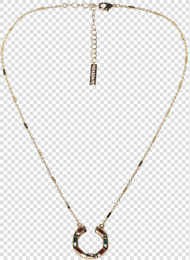 Horse Shoe Necklace In Colour Gold Earth  HD Png DownloadTransparent PNG