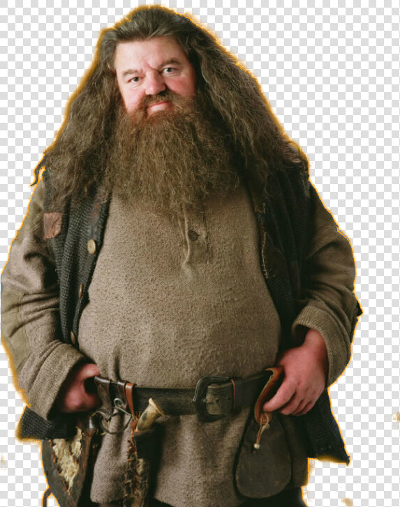 Rubeus Hagrid Png Image With No Background   Harry Potter Hagrid  Transparent PngTransparent PNG