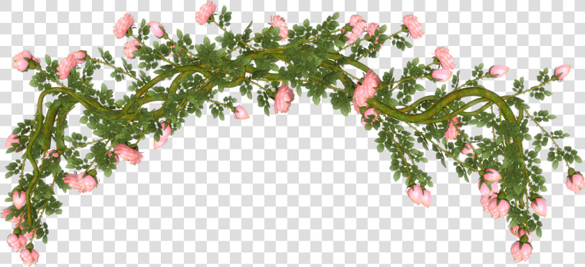 Transparent Rosas Blancas Png   Rama Flower  Png DownloadTransparent PNG