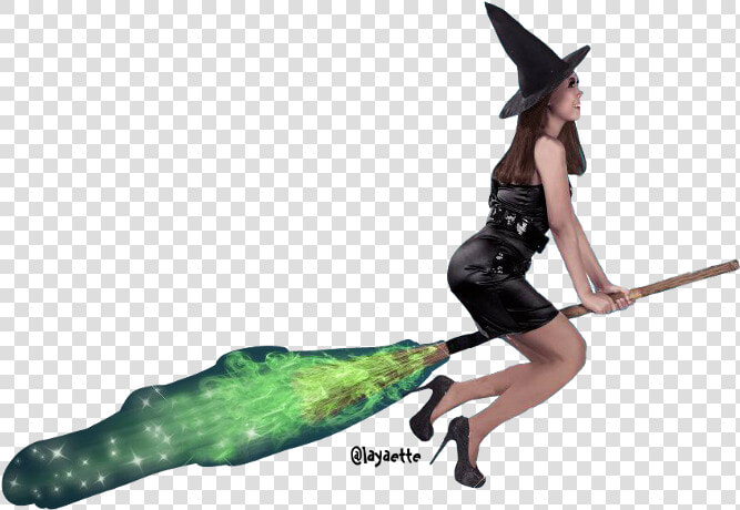  witch  halloween  wicked  wickedwitch  broomstick   Illustration  HD Png DownloadTransparent PNG