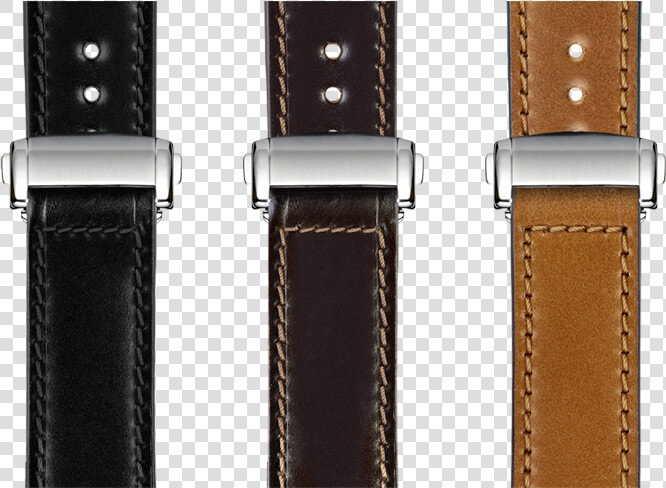 Shell Cordovan Title 18mm   Strap  HD Png DownloadTransparent PNG