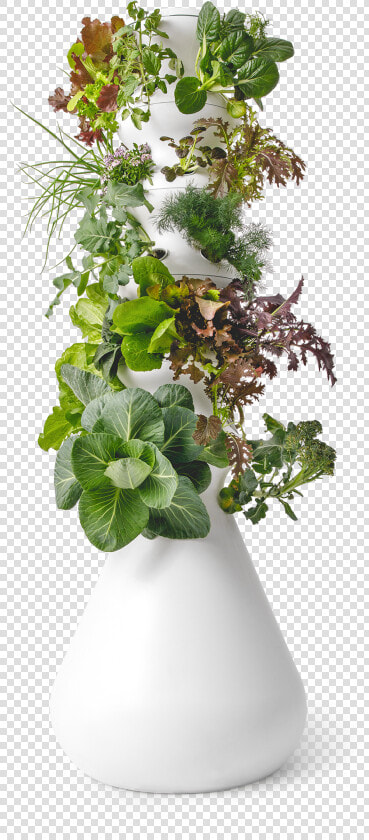 Flowerpot  HD Png DownloadTransparent PNG