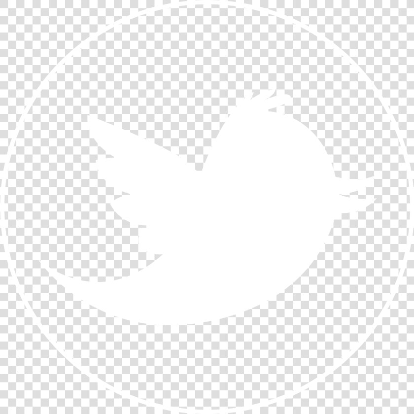 Welcome To Lex Png Twitter Logo Black Outline   Twitter Bird  Transparent PngTransparent PNG