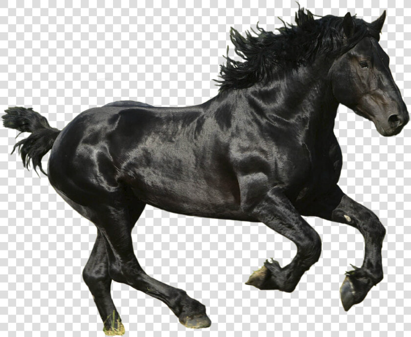 Lil Nas X Old Town Road Album  HD Png DownloadTransparent PNG