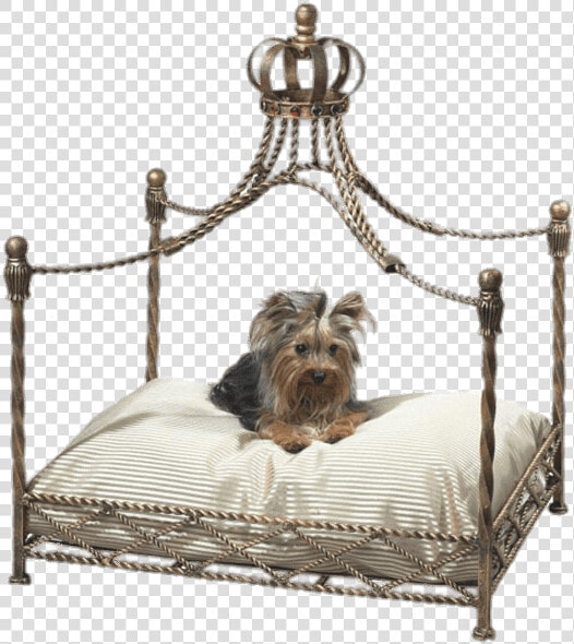 Pet Canopy Bed   Cat Canopy Bed  HD Png DownloadTransparent PNG