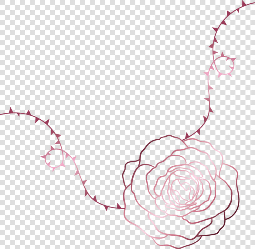 Like A Rose Growing Amongst The Thorns  These Brushes  HD Png DownloadTransparent PNG