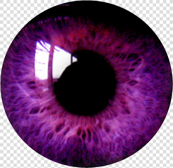  circle  png  tumblr  aesthetic  remixit  círculo  freetoedit   Purple Eye Transparent Background  Png DownloadTransparent PNG