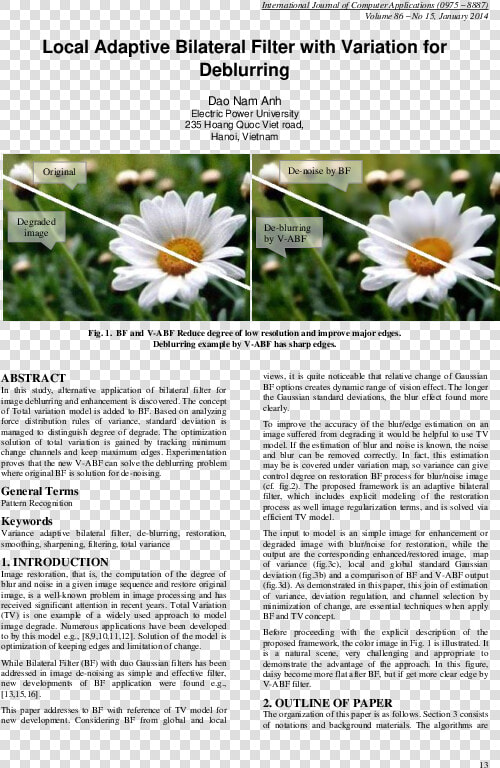 Camomile  HD Png DownloadTransparent PNG