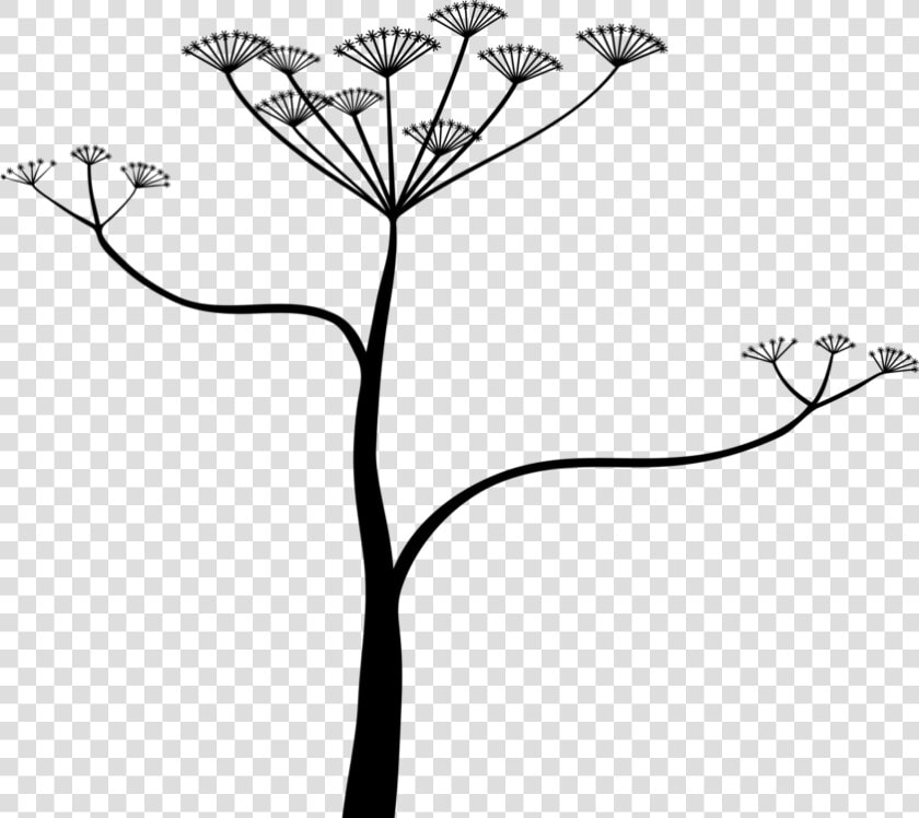 Transparent Hemlock Tree Clipart  HD Png DownloadTransparent PNG