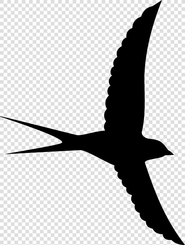 Bird Silhouette Png Clipart Image Transparent Png     Bird Silhouette Transparent Background  Png DownloadTransparent PNG